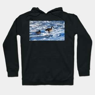 Mallard Duck and Canada Goose Going For A Walk In The Snow Hoodie